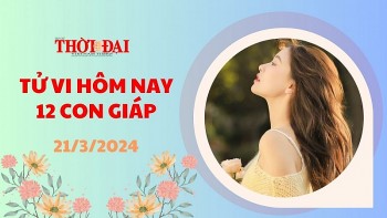 Tử vi hôm nay 12 con giáp 21/3/2024: Tý may mắn đủ đường