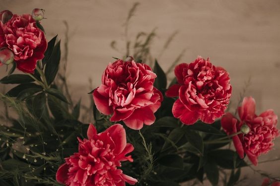 Tử vi hôm nay 12 cung hoàng đạo 29/3/2024: Song Tử tài lộc ập đến bất ngờ
