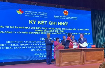Cơ hội kết nối giao thương giữa doanh nghiệp Bình Định và Canada