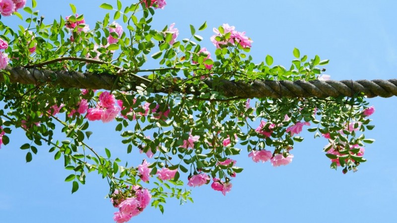 Tử vi hôm nay 12 cung hoàng đạo 10/4/2024: Ma Kết thành công, truyền cảm hứng cho nhiều người