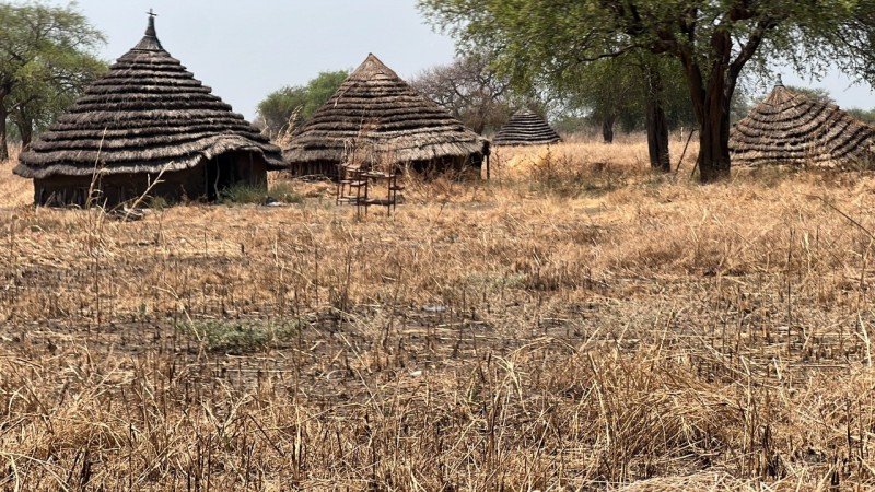 Bộ đội Việt Nam xây doanh trại cho bộ binh Ghana tại châu Phi