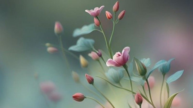 Tử vi hôm nay 12 cung hoàng đạo 5/4/2024: Song Tử công việc vô cùng thuận lợi