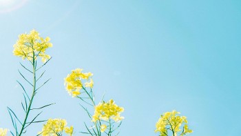 Tử vi hôm nay 12 cung hoàng đạo 10/4/2024: Ma Kết thành công, truyền cảm hứng cho nhiều người