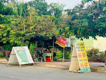 Hơn 180 giao dịch đất nền được ghi nhận thành công ở TP.HCM và vùng ven trong quý II