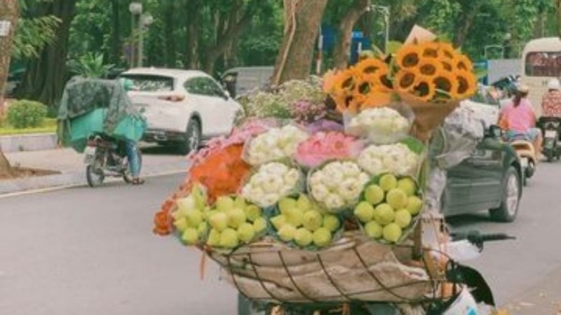 Tử vi hôm nay 12 cung hoàng đạo 27/4/2024: Bọ cạp tài lộc dồi dào
