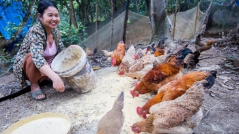 Hỗ trợ doanh nghiệp do phụ nữ làm chủ tham gia chuỗi cung ứng