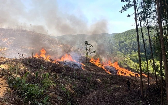 Các khu vực Tây Nguyên, Nam Bộ đang trong cao điểm mùa khô, nắng khô kéo dài nhiều ngày làm gia tăng nguy cơ cháy rừng. (Ảnh minh họa: TTXVN)