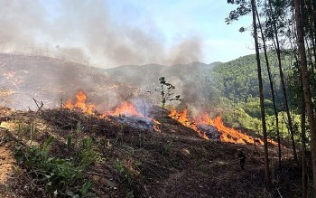 Nắng nóng trải dài từ Bắc vào Nam, có nơi trên 39 độ C