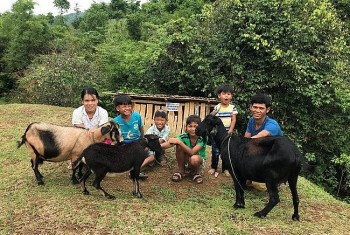 WVI dành hơn 2,7 triệu USD hỗ trợ cải thiện sinh kế cho người dân huyện Đakrông (Quảng Trị)