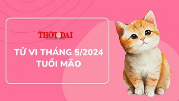 tu vi thang 52024 tuoi mao tai chinh di xuong suc khoe ton hao