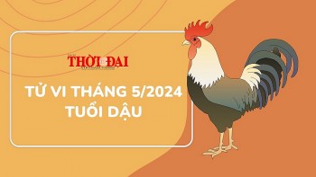 tu vi thang 52024 tuoi dau may man can ke gat hai thanh cong