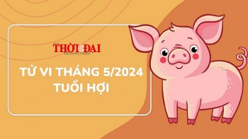 Tử vi tháng 5/2024 tuổi Hợi: Đối diện với nhiều thị phi, mâu thuẫn