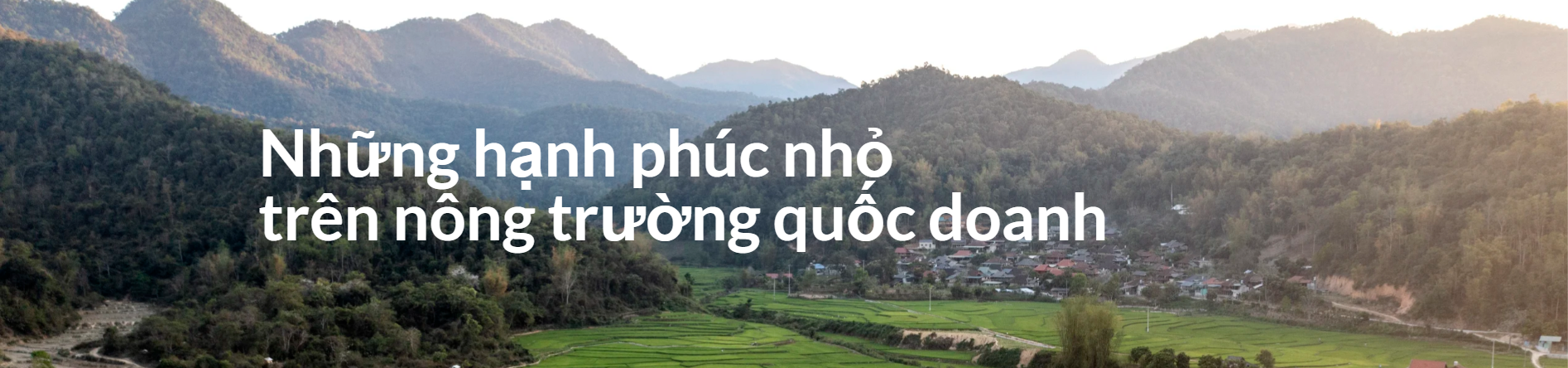 Những hạt mầm của hạnh phúc