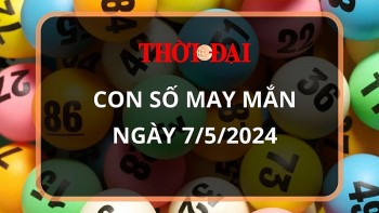 Con số may mắn hôm nay 7/5/2024 12 con giáp: Hợi may mắn vượt bậc