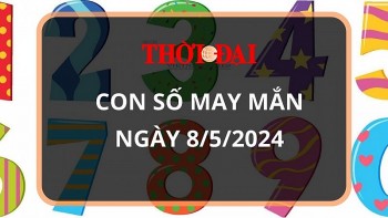 Con số may mắn hôm nay 8/5/2024 12 con giáp: Thân phát tài nhờ trò may rủi