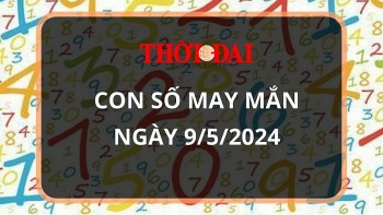 Con số may mắn hôm nay 9/5/2024 12 con giáp: Sửu may mắn vượt bậc