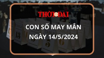 Con số may mắn hôm nay 14/5/2024 12 con giáp: Ngọ thần may soi đường dẫn lối