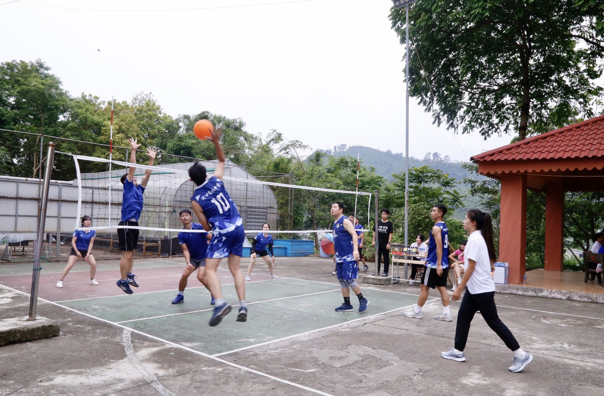 Các giáo viên giao hữu bóng chuyền. (Ảnh: Trường THPT Chuyên Lào Cai)