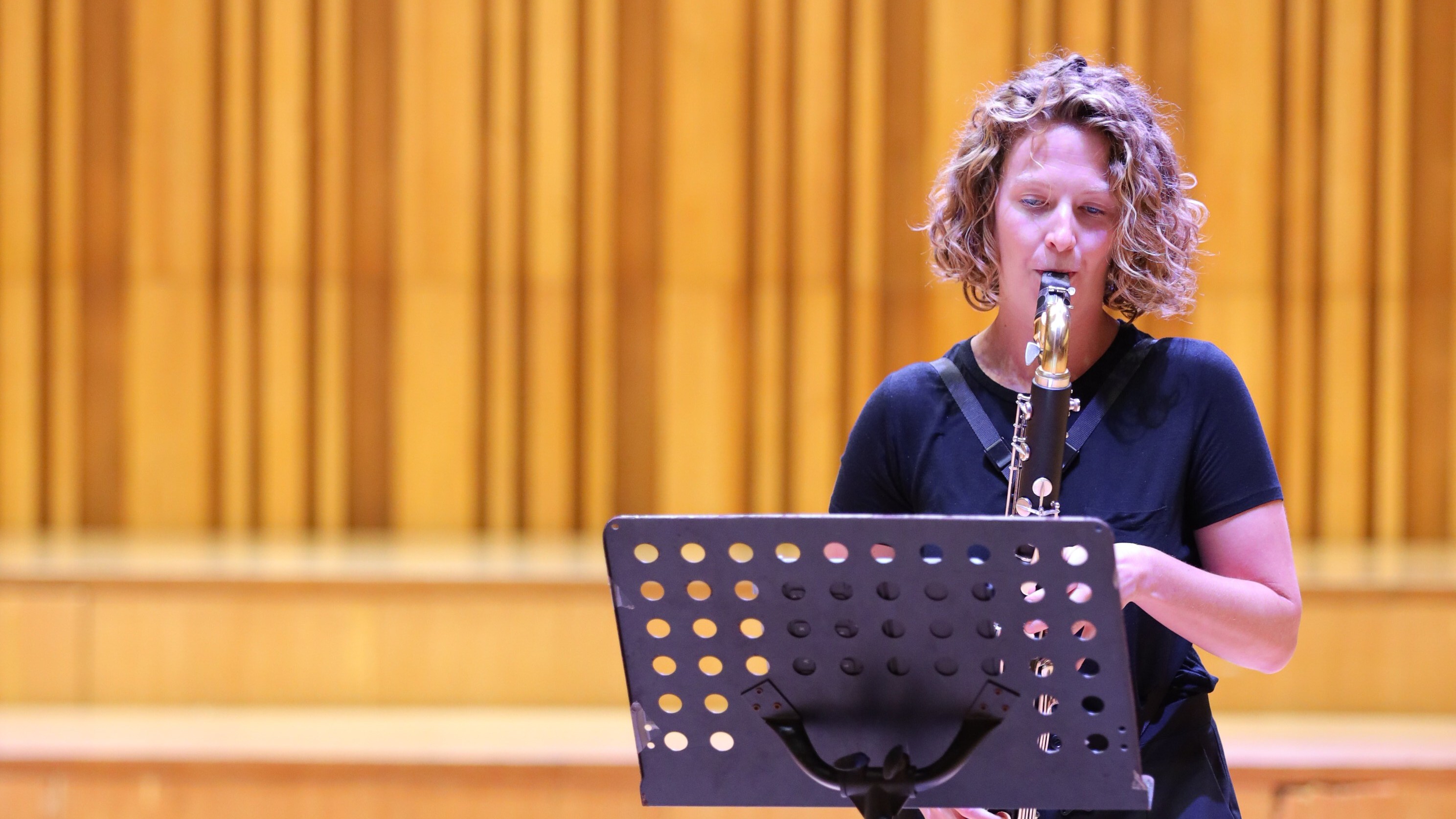 Giới thiệu âm nhạc dân gian Áo tại Việt Nam qua giai điệu kèn Clarinet