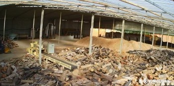 Công ty CP Phát triển Hải Dương-Hủa Phăn chạy thử thành công nhà máy sản xuất than gỗ sinh khối tại Lào