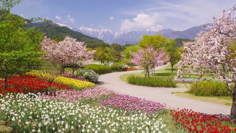 Tử vi hôm nay 12 cung hoàng đạo 29/5/2024: Kim Ngưu có 1 ngày nhiều niềm vui