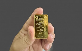 Giá vàng đồng loạt tăng vọt sau thông tin ngừng đấu thầu