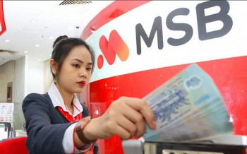 ROX Living muốn bán 2,94% vốn MSB