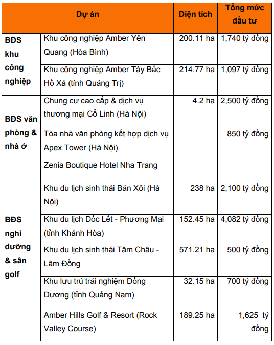 Bí ẩn Amber Holdings - hệ sinh thái hậu thuẫn Chứng khoán Nhất Việt tăng vốn 