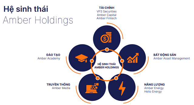 Bí ẩn Amber Holdings - hệ sinh thái hậu thuẫn Chứng khoán Nhất Việt tăng vốn 