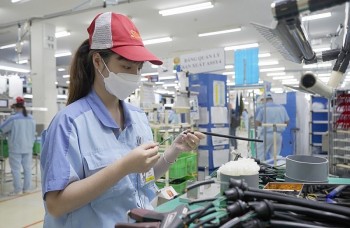 Việt Nam quay lại nhập siêu 1 tỷ USD trong tháng 5/2024