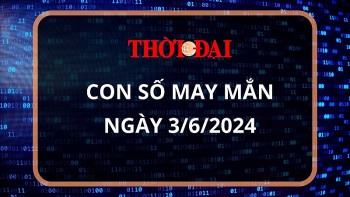 Con số may mắn hôm nay 3/6/2024 12 con giáp: Hợi tài lộc thăng tiến không ngừng