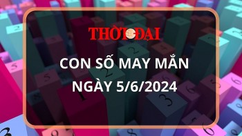 Con số may mắn hôm nay 5/6/2024 12 con giáp: Dần – Hợi may mắn đủ đường