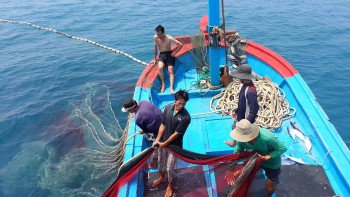 Hàn Quốc sẽ hợp tác tăng cường năng lực của Việt Nam để ứng phó với IUU