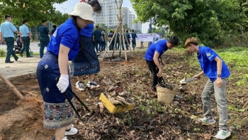 Tình nguyện viên quốc tế tham gia chiến dịch tình nguyện hè Thành phố Hồ Chí Minh năm 2024