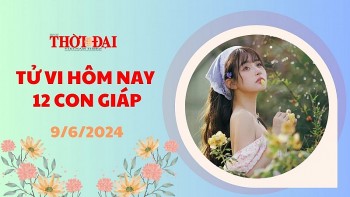 Tử vi hôm nay 12 con giáp 9/6/2024: Tỵ sự nghiệp trên đà thăng tiến