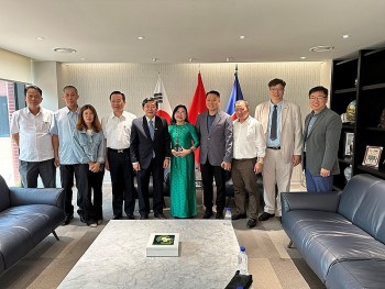 Củng cố, tăng cường quan hệ hợp tác hữu nghị Việt Nam - Hàn Quốc