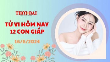 Tử vi hôm nay 12 con giáp 16/6/2024: Hợi có thể bị tiểu nhân lừa gạt