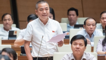 tranh luan ve dau tu trung tam van hoa viet nam o nuoc ngoai