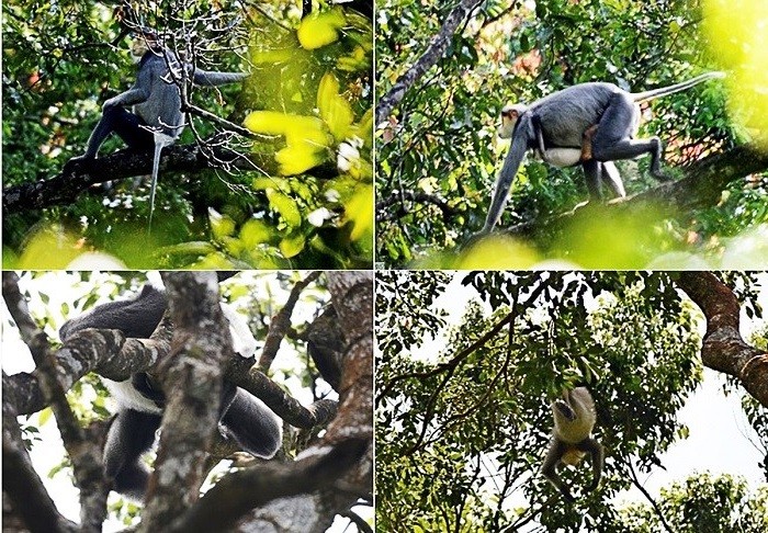 Synchronicity Earth (Anh) hỗ trợ Đà Nẵng nâng cao nhận thức cho cộng đồng Synchronicity Earth (Anh) hỗ trợ Đà Nẵng nâng cao nhận thức cho cộng đồng