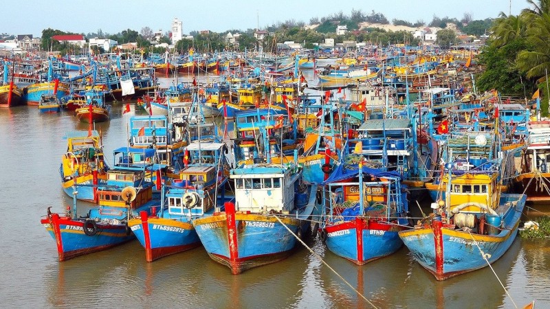 Việt Nam quyết tâm cao gỡ cảnh báo "Thẻ vàng" IUU trong năm 2024