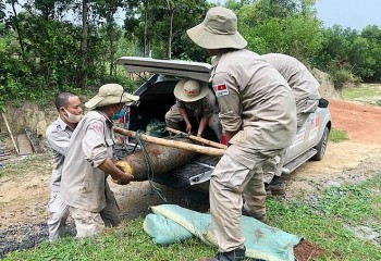 Việt Nam trở thành thành viên của Hội đồng Chấp hành Trung tâm Hành động bom mìn nhân đạo Geneva