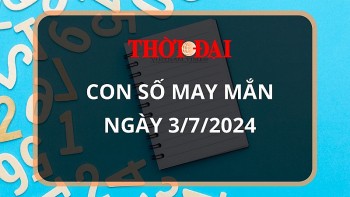 Con số may mắn hôm nay 3/7/2024 12 con giáp: Hợi may mắn vượt bậc