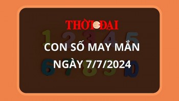 Con số may mắn hôm nay 7/7/2024 12 con giáp: Dần thần Tài gõ cửa mang lộc vào nhà