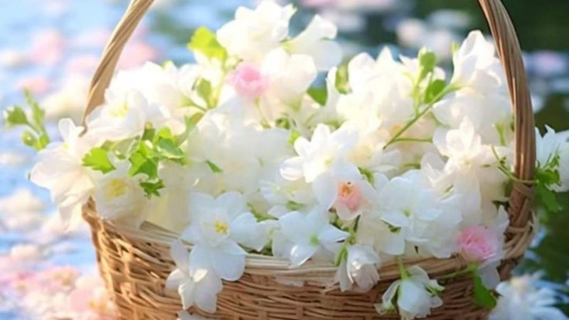 Tử vi hôm nay 12 cung hoàng đạo 13/7/2024: Cự Giải được tiếp thêm nguồn năng lượng mới mẻ
