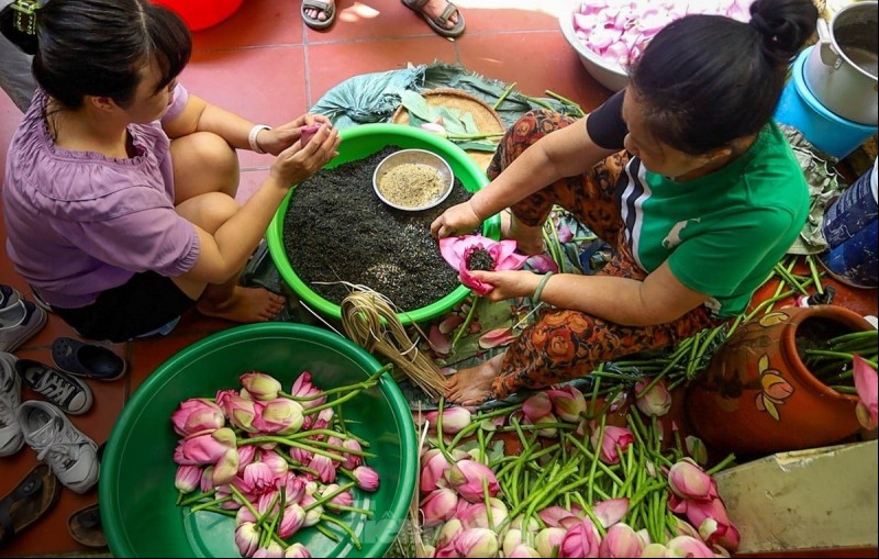 Nghề ướp trà sen Tây Hồ sẽ được công nhận là Di sản văn hóa phi vật thể cấp quốc gia