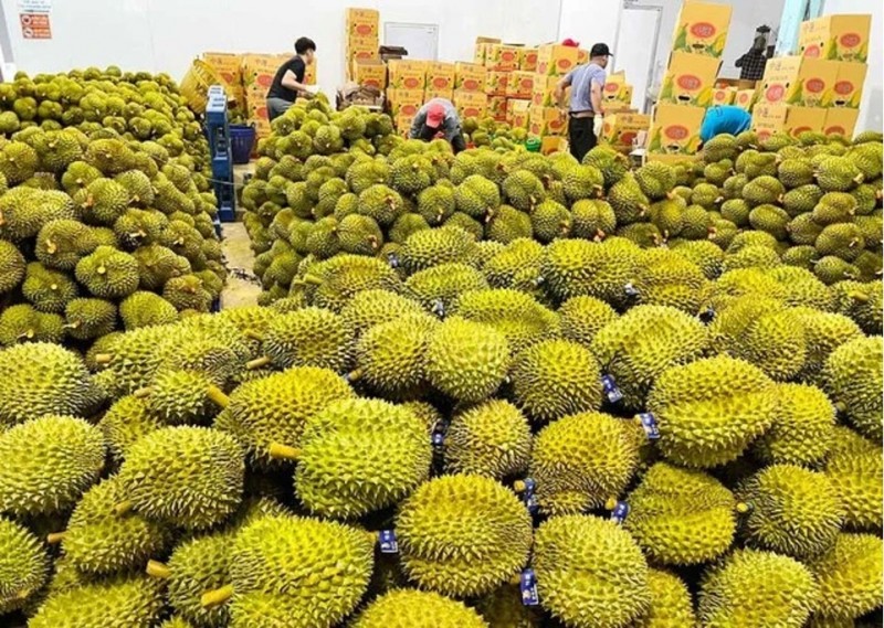 Trung Quốc tiếp tục là nước nhập khẩu rau quả lớn nhất của Việt Nam