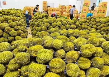 Trung Quốc tiếp tục là nước nhập khẩu rau quả lớn nhất của Việt Nam