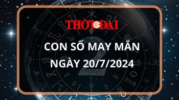 Con số may mắn hôm nay 20/7/2024 12 con giáp: Dậu giàu có bất ngờ