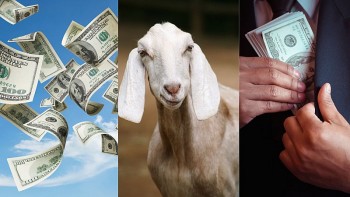 Top 3 con giáp nhận lộc trời ban nửa cuối tháng 7, tiền tài dội vào như nước