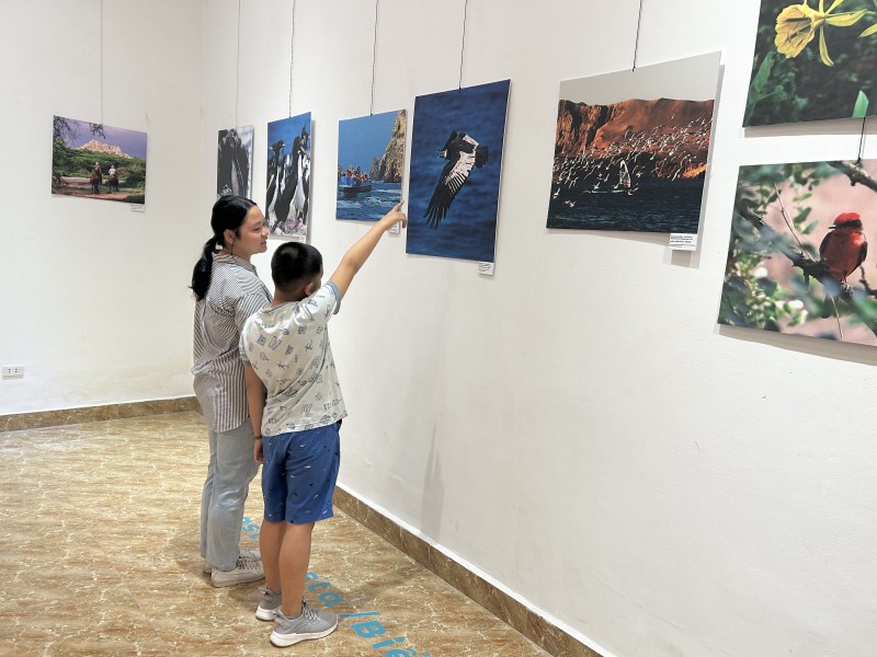 Triển lãm ảnh thu hút cả các em nhỏ tới tham quan, trải nghiệm. (Ảnh: Thu Phượng) 